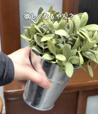 出所：@asunee_kurashi