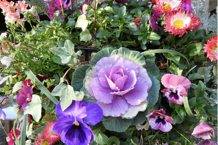 Chiemi Kumitani/istockphoto.com