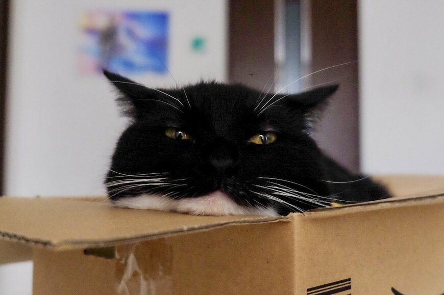 出所：@unicouniuni3