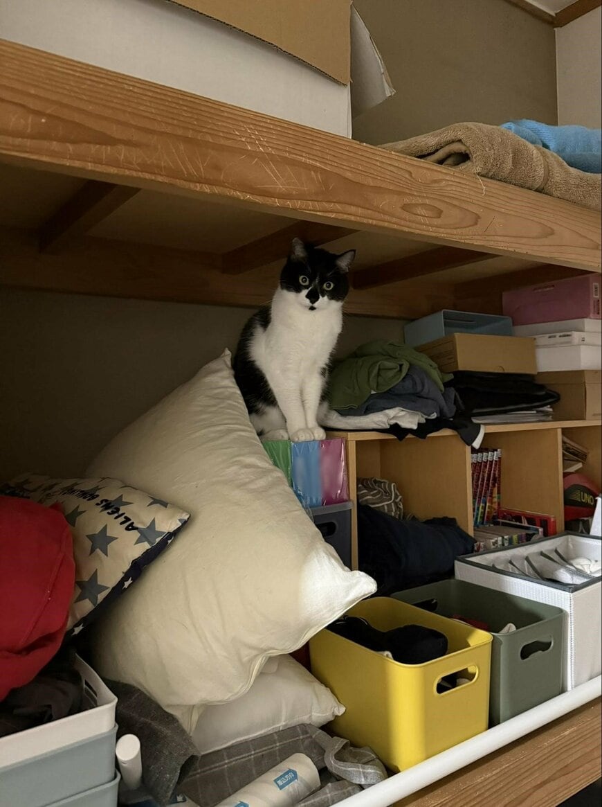 出所：@00shitemita