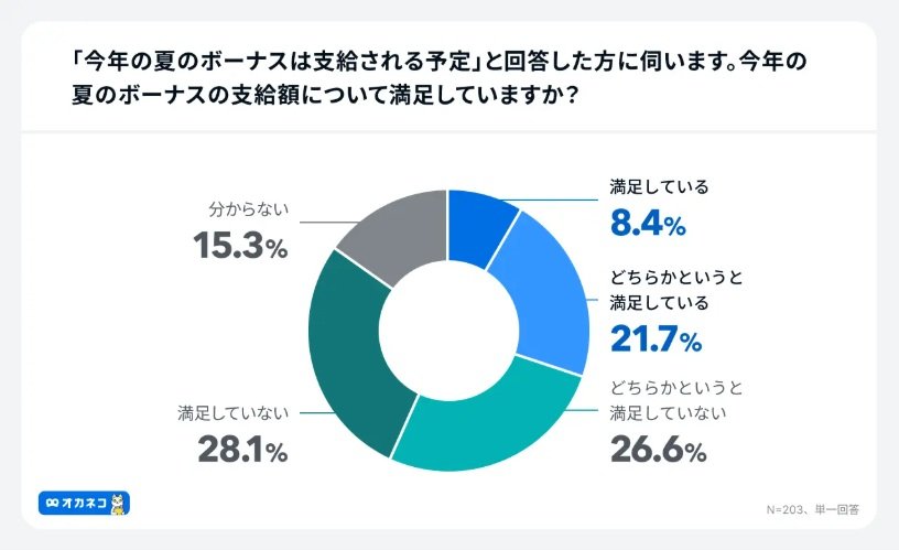 夏のボーナスの満足度