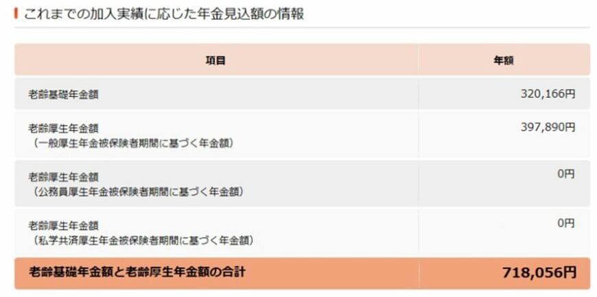 ねんきんネットの画面(見本)