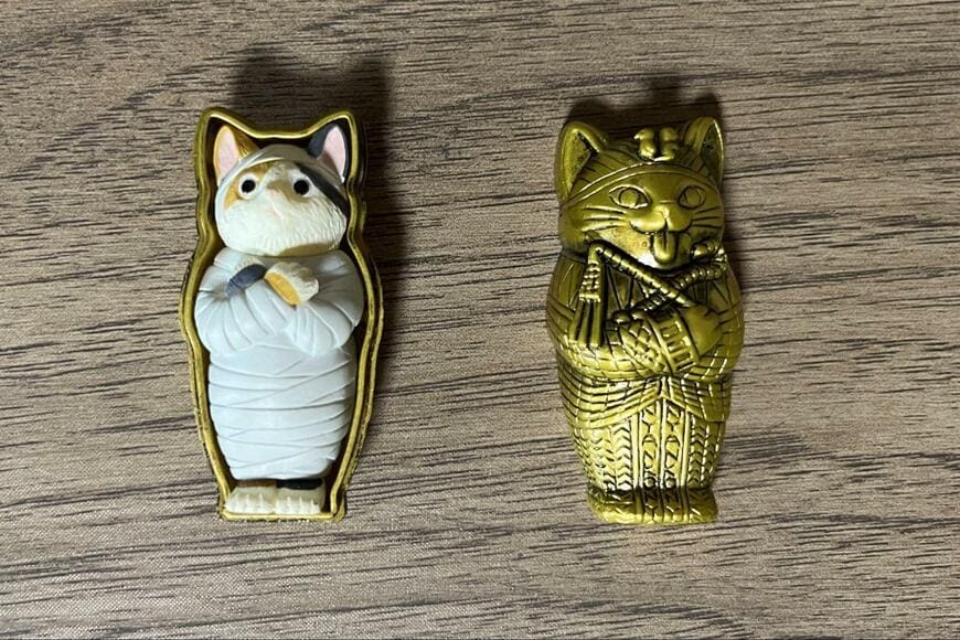 株式会社キタンクラブ、ミイラ・キャット画像