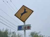 【北海道】鹿に注意の道路標識に進化系が存在　「鹿が増えてる」「習性を考慮した良い標識」