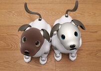 【ソニー】aiboの特別仕様モデルが可愛すぎて悶絶！柔らかな「なで心地」のペットロボットに歓喜の声「動物感増してる」