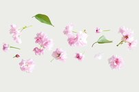 【4月分から年金生活者支援給付金も増額】その対象者や基準額とは。2025年度は2.7％増額へ