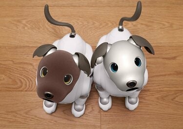 ソニー】aiboの特別仕様モデルが可愛すぎて悶絶！柔らかな「なで心地