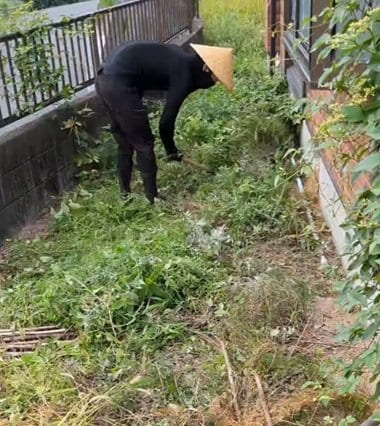 投稿の画像
