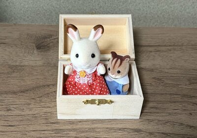 ダイソー、ウッドボックス収納（長方型）筆者撮影写真