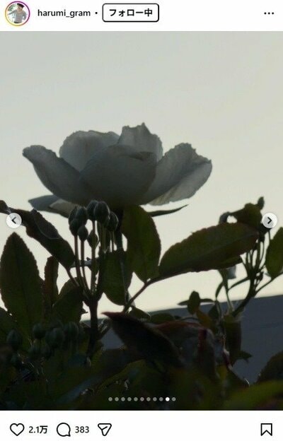 栗原はるみのInstagram投稿