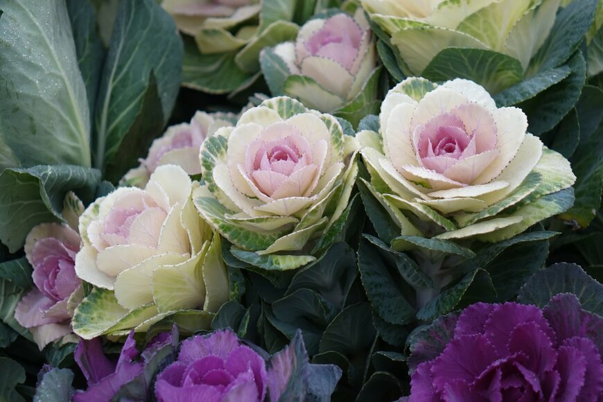 Photobank.kiev.ua/Shutterstock.com