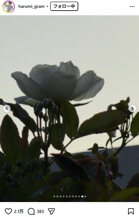 出所：栗原はるみのInstagram（＠harumi_gram）　参照日：2025年3月26日