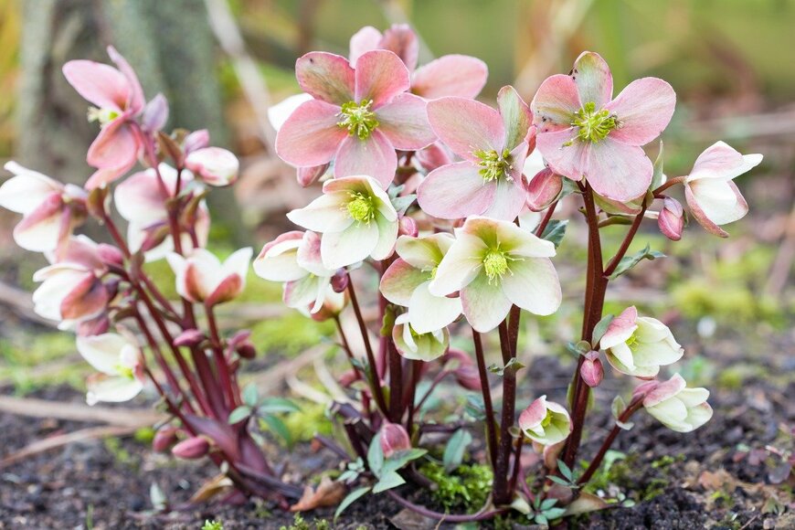 PaulMaguire/istockphoto.com