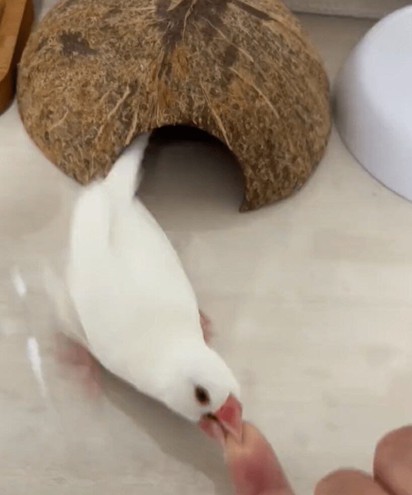 出所：@7nNxrg27PIUFCMS