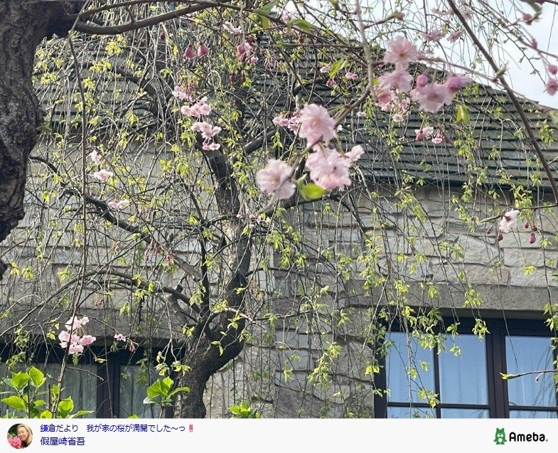 出所：假屋崎省吾の公式ブログ　参照日：2026年3月31日