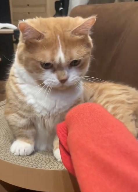 出所：@kotaro_0315