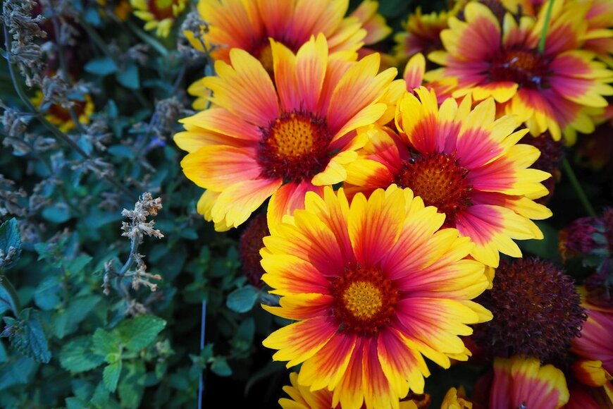 mirti/shutterstock.com