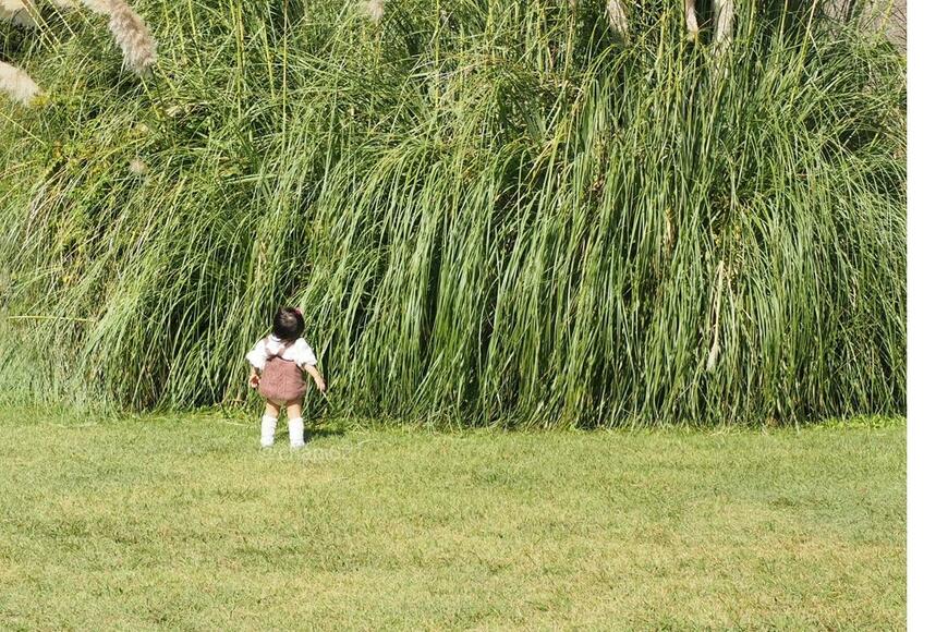 1歳児が見上げた先にある「巨大すぎる草」の正体に「そういう名前なんだ…」