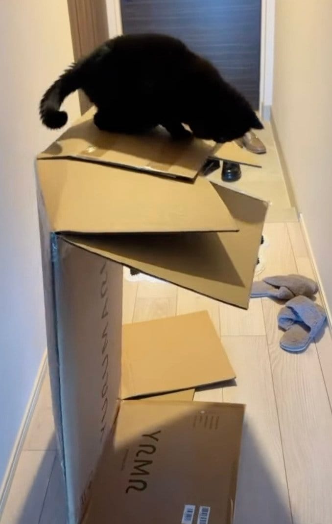 出所：@kotetsu_0420