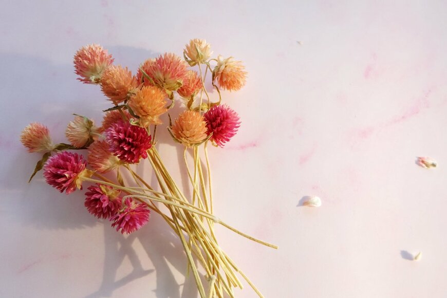 daphne.t/shutterstock.com