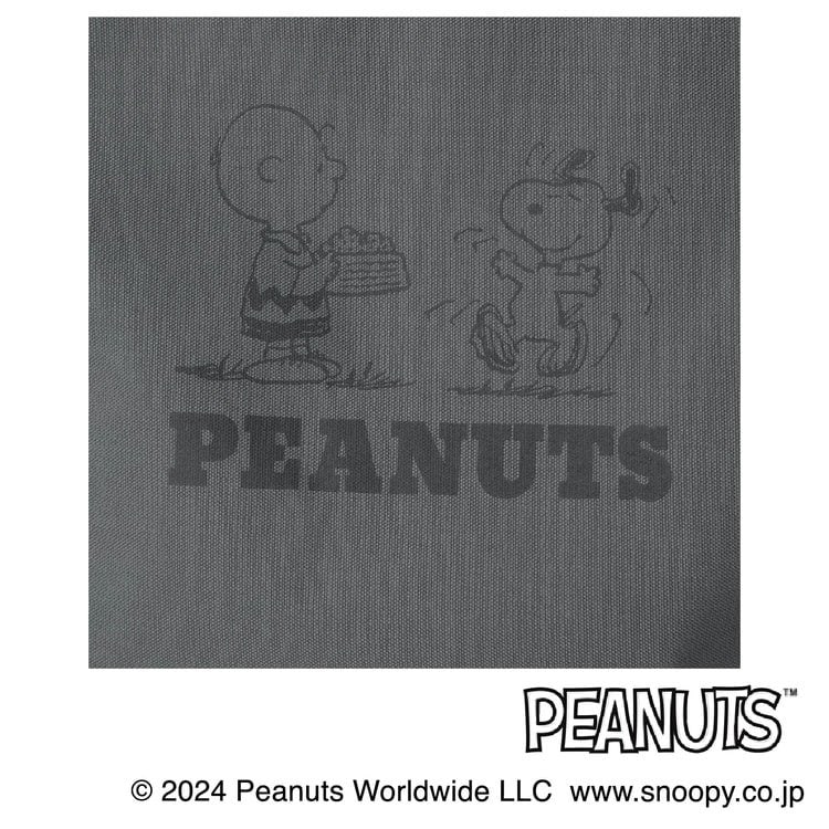 出所：AOKI公式　AOKI＆PEANUTSコラボ 軽量 2wayトートバッグ