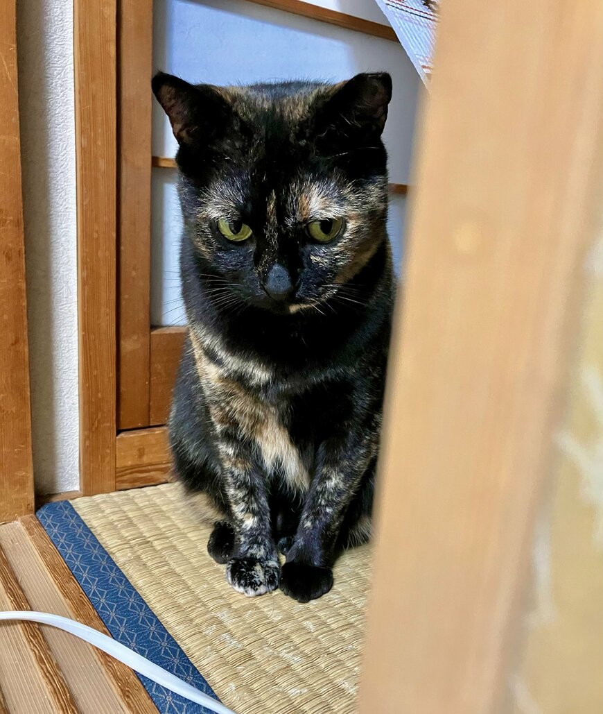 出所：@TTomoecarl