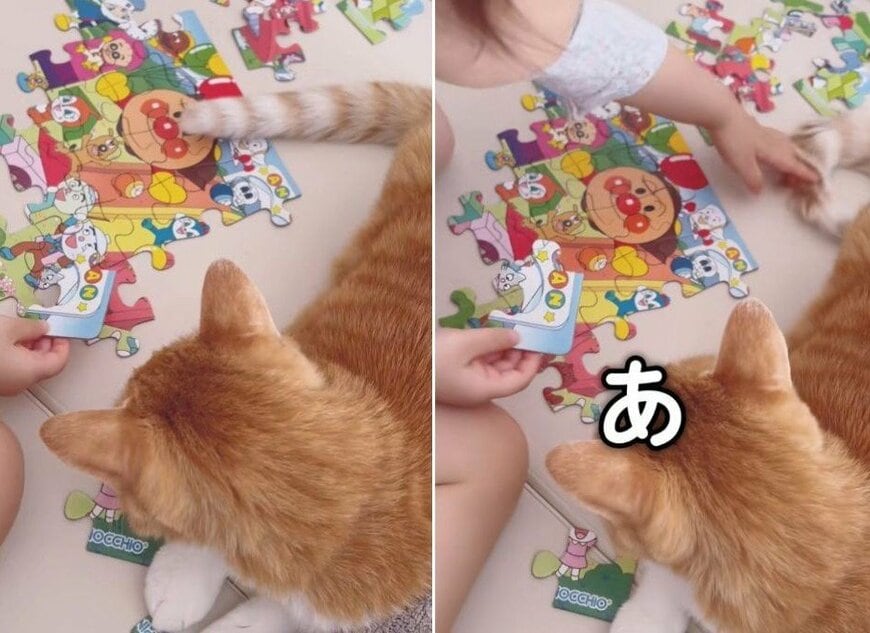 出所：＠miko_nekoneko