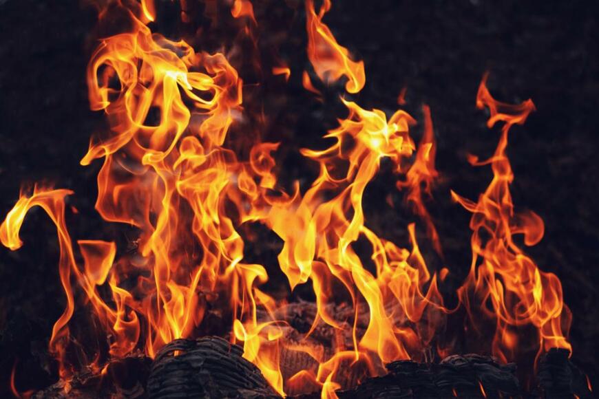 DedMityay/ shutterstock.com