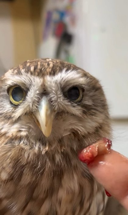 出所：@cr8673.hiro