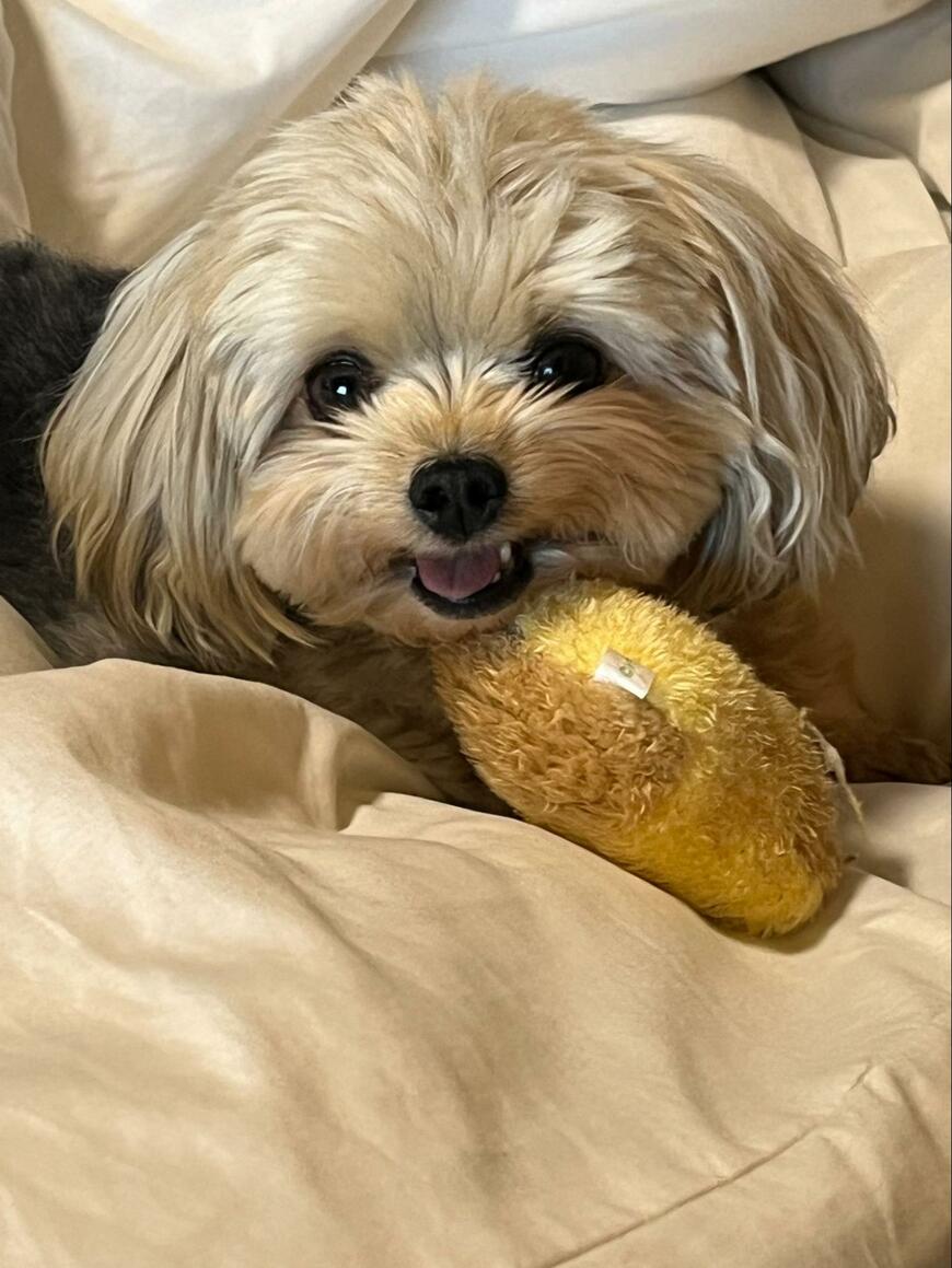 出所：@potage_0924