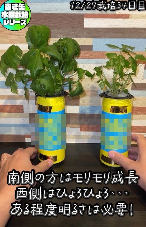 出所：@mikanbo_ya19_87