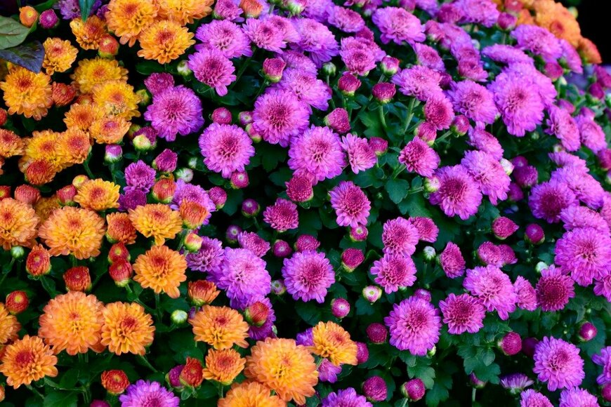 Wirestock/istockphoto.com