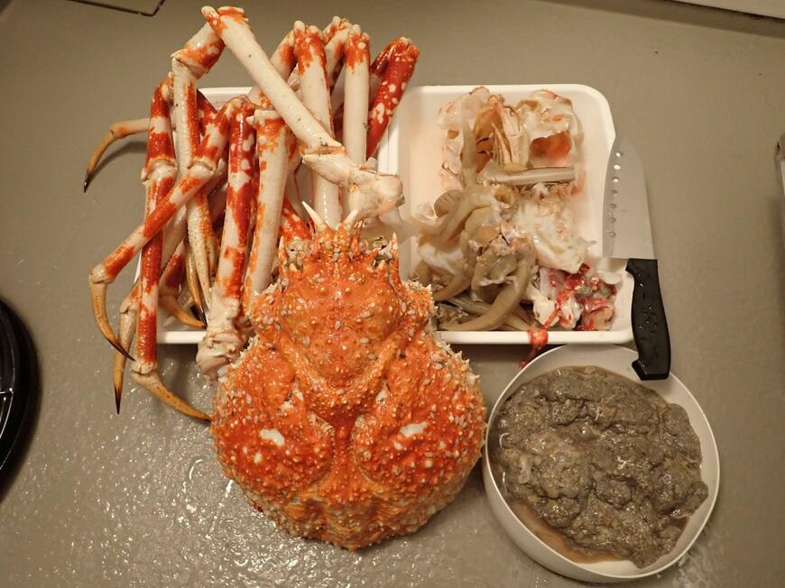 解体を終えたタカアシガニ