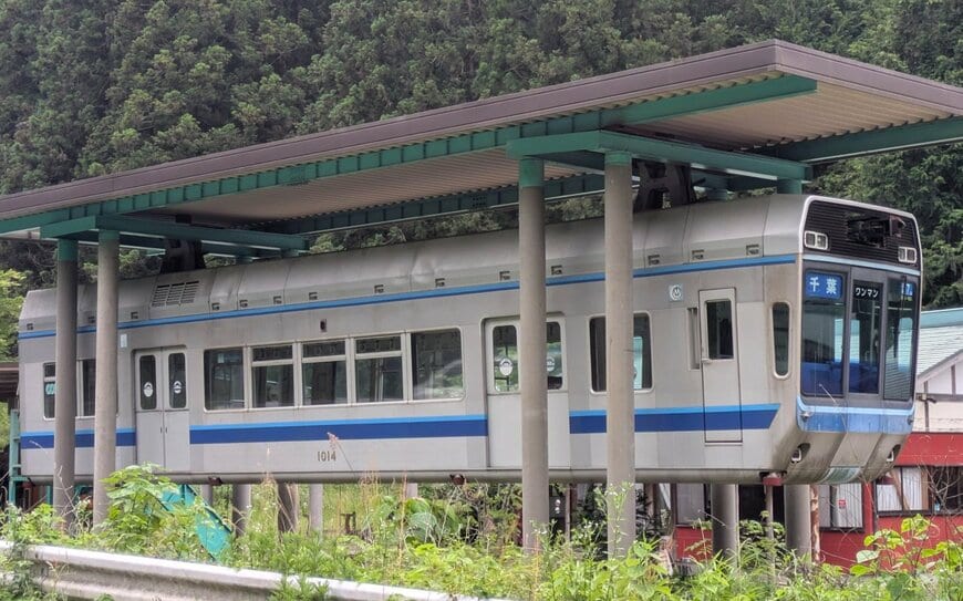 投稿の画像