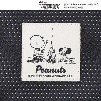 LOGOS SNOOPY(PEANUTS 75years) 7075トレックチェア