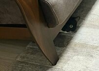 飼い主さんの「いってきます」をイヤイヤ顔で見つめる元保護猫ちゃん「これは後ろ髪引かれますねえ」の声