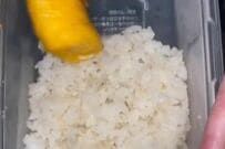 シングルマザーが作る「残り物アレンジ弁当」がたまらない…　定番おかずがたっぷり入ってボリューム満点