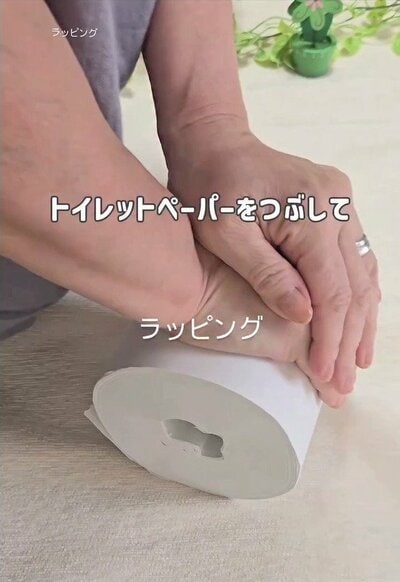 変身前のトイレットペーパー