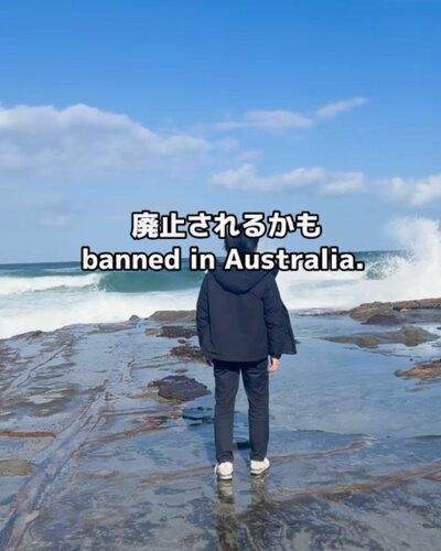 投稿動画のワンシーン