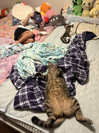 ベッドでくつろぐ長女さんと猫たち