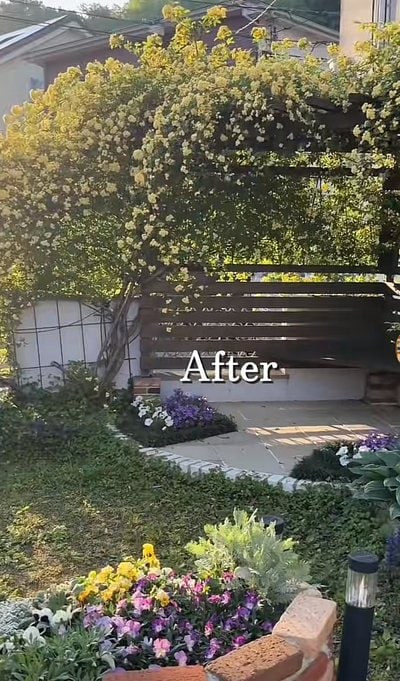 投稿動画のワンシーン