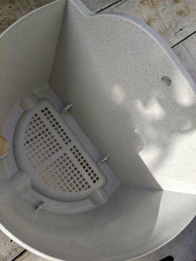 筆者撮影（ダイソー、掛け植木鉢8号（24cm））