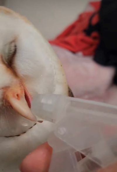 投稿動画のワンシーン