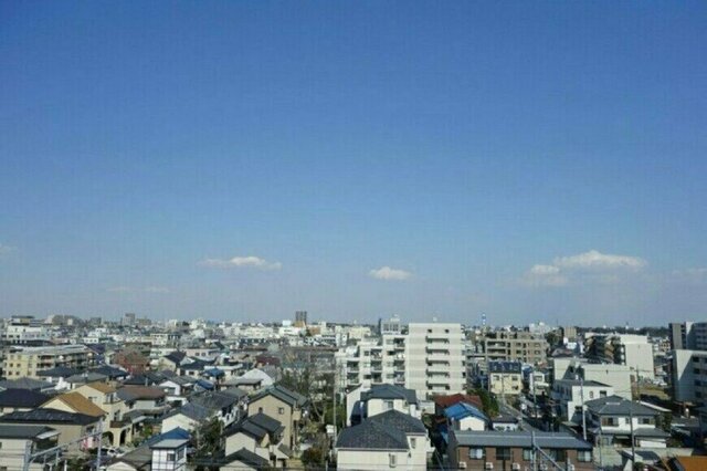 賛否ある子供用のハーネス　30年前に撮影された祖母と孫の「ハーネスを着用した散歩」が話題