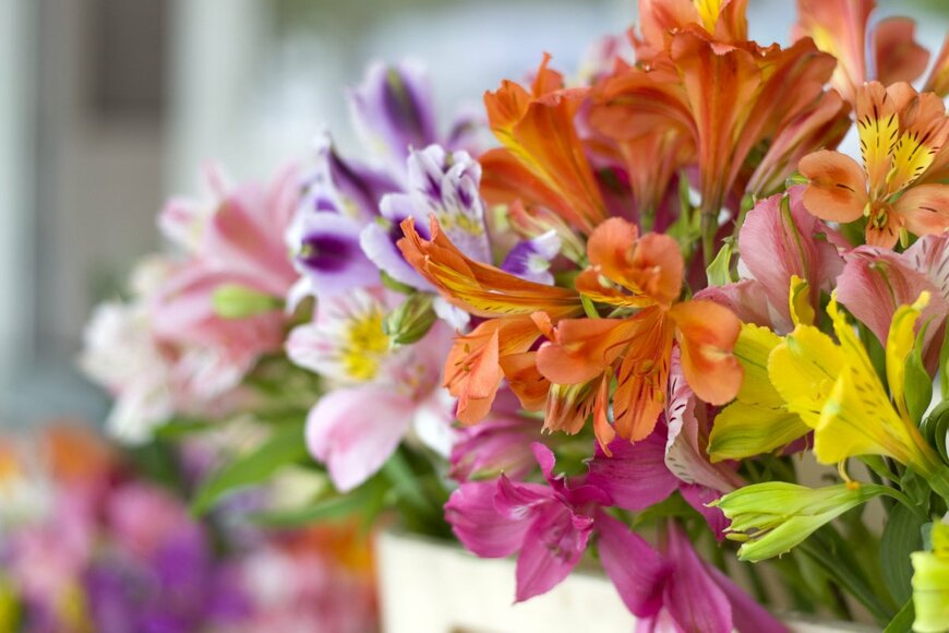 liubovi samoilova/shutterstock.com