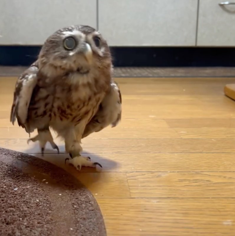 出所：@cr8673.hiro