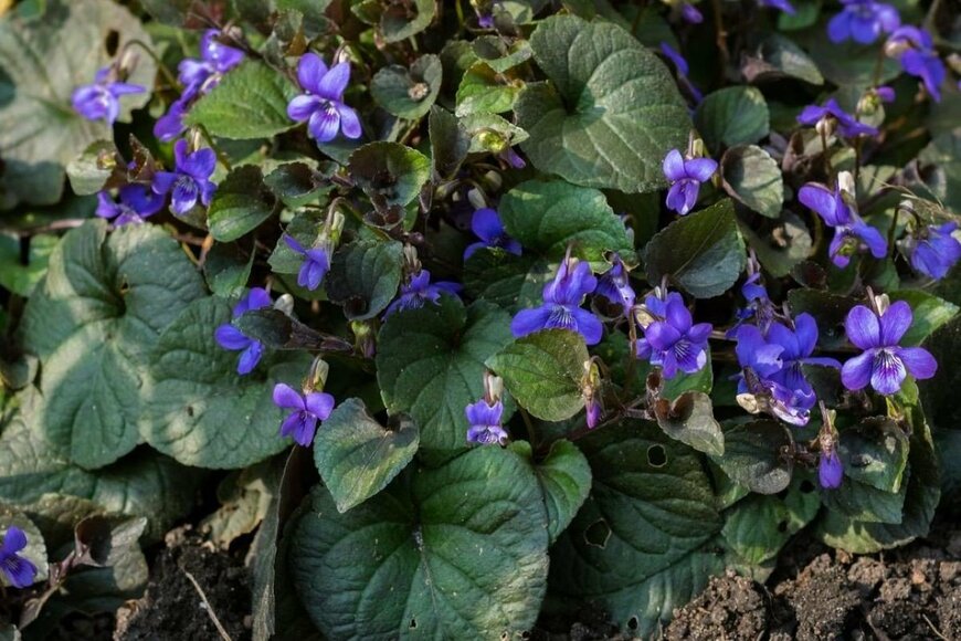 Meindert van der Haven/istockphoto.com