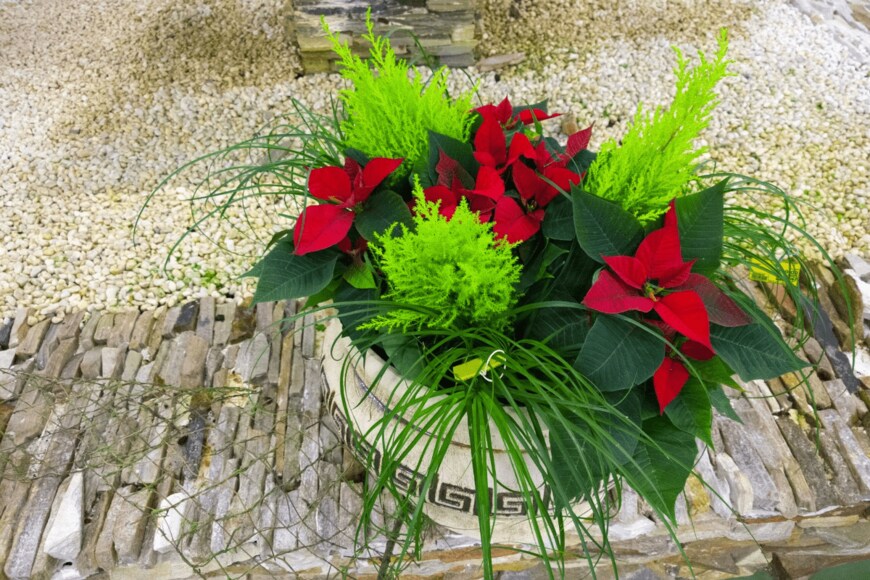 Straitel/istockphoto.com              