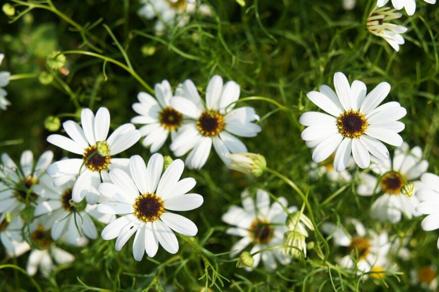 skymoon13/istockphoto.com