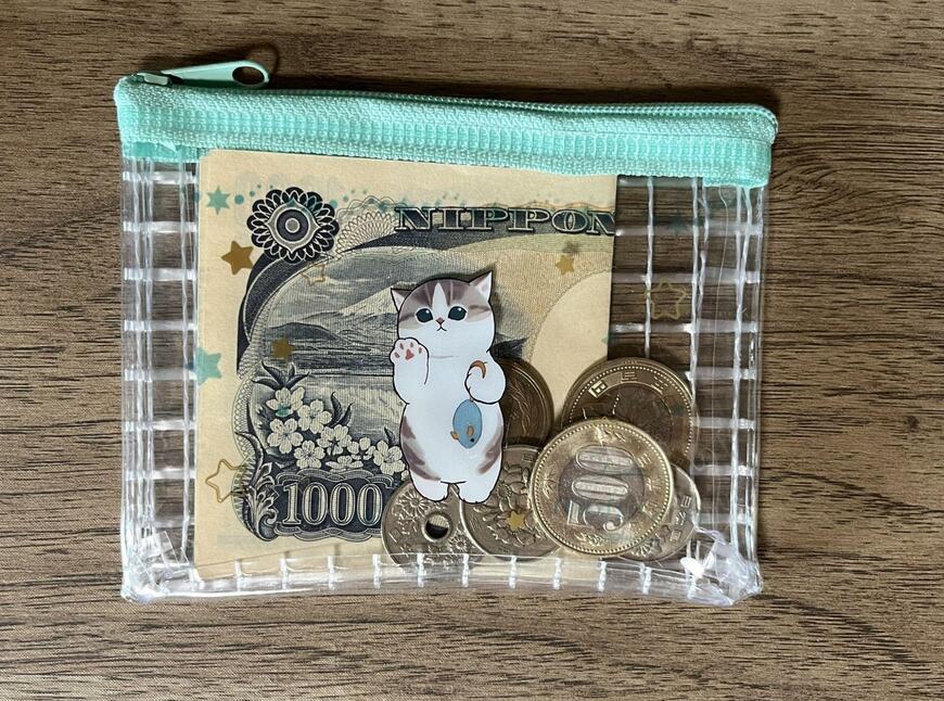 筆者撮影（セリア、mofusand ミニメッシュポーチ）